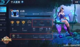 最优秀的王者爆料员视频,深度解析游戏内幕与精彩瞬间