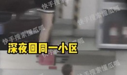 狗仔爆料现实版许沁视频,揭秘现实版许沁的震撼视频曝光